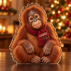 Front-view digital preview of a Christmas baby orangutan acrylic plaque with example name AMBER integrated into the scarf embroidered-look name panel