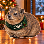 Front-view digital preview of a Christmas rock hyrax gentle wish acrylic plaque with example name Nash integrated into the neck wrap front