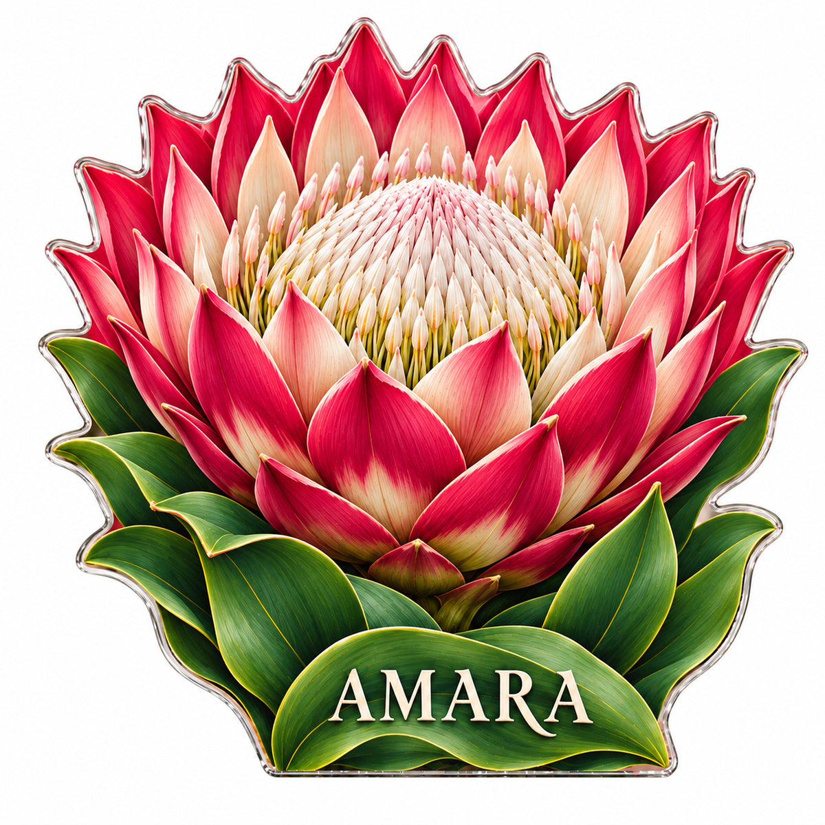 Front-view digital preview of a ruby pink and ivory king protea subject-shaped acrylic plaque with AMARA printed on its lowest leaf