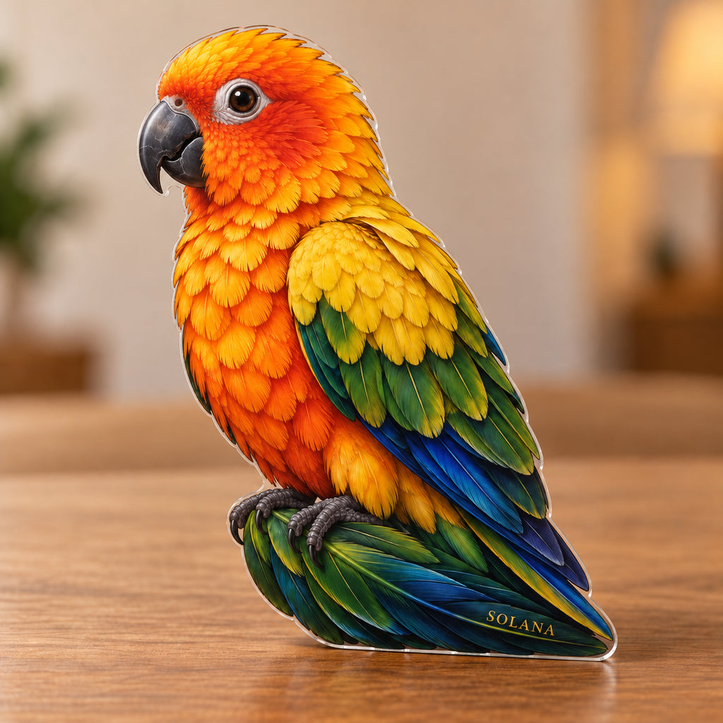 Digital preview of a sun-conure-shaped acrylic plaque with SOLANA integrated along its lowest illustrated dark tail feather