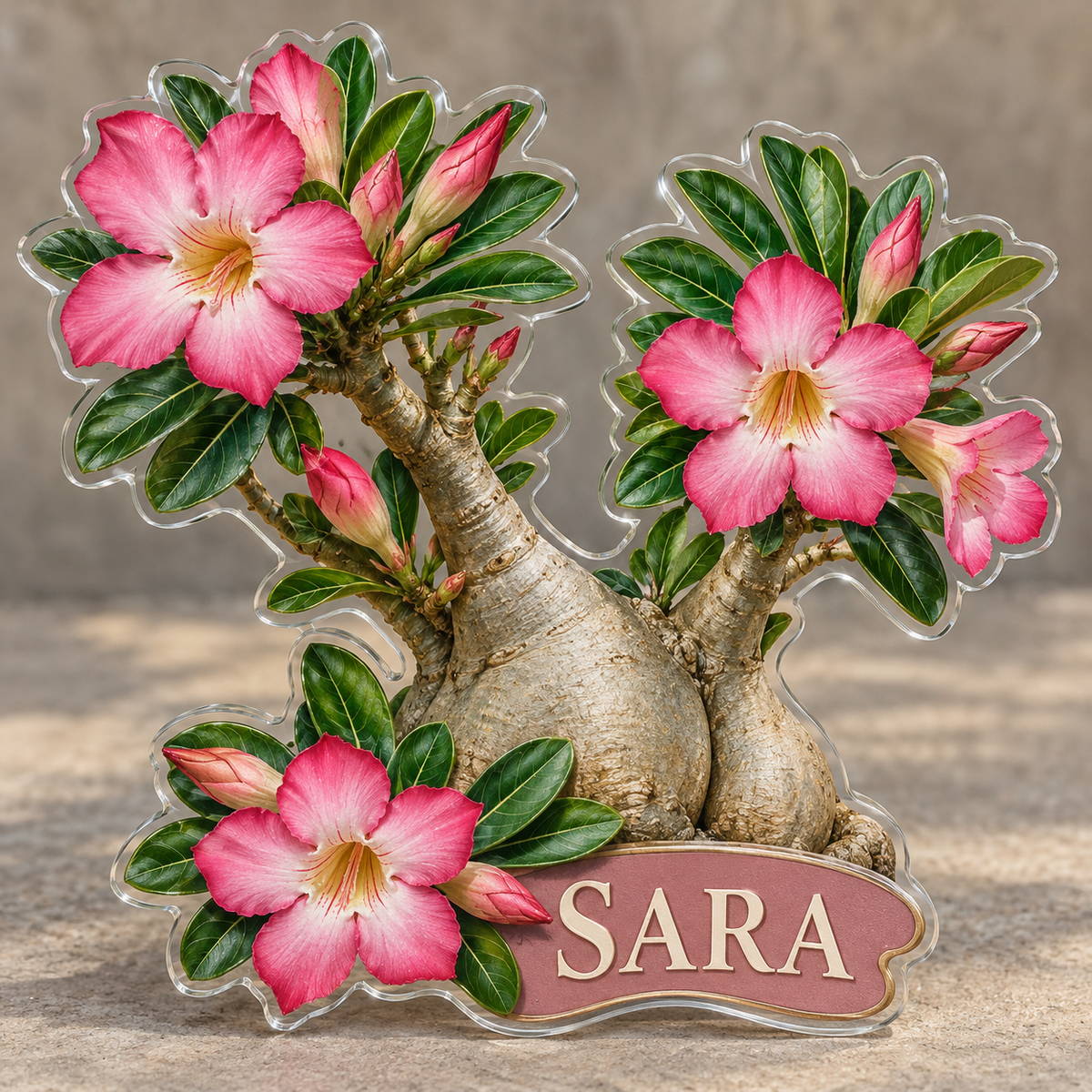 Front view of personalized adenium caudex blossom tree acrylic plaque with sample name SARA, displayed in a softly blurred warm desert conservatory