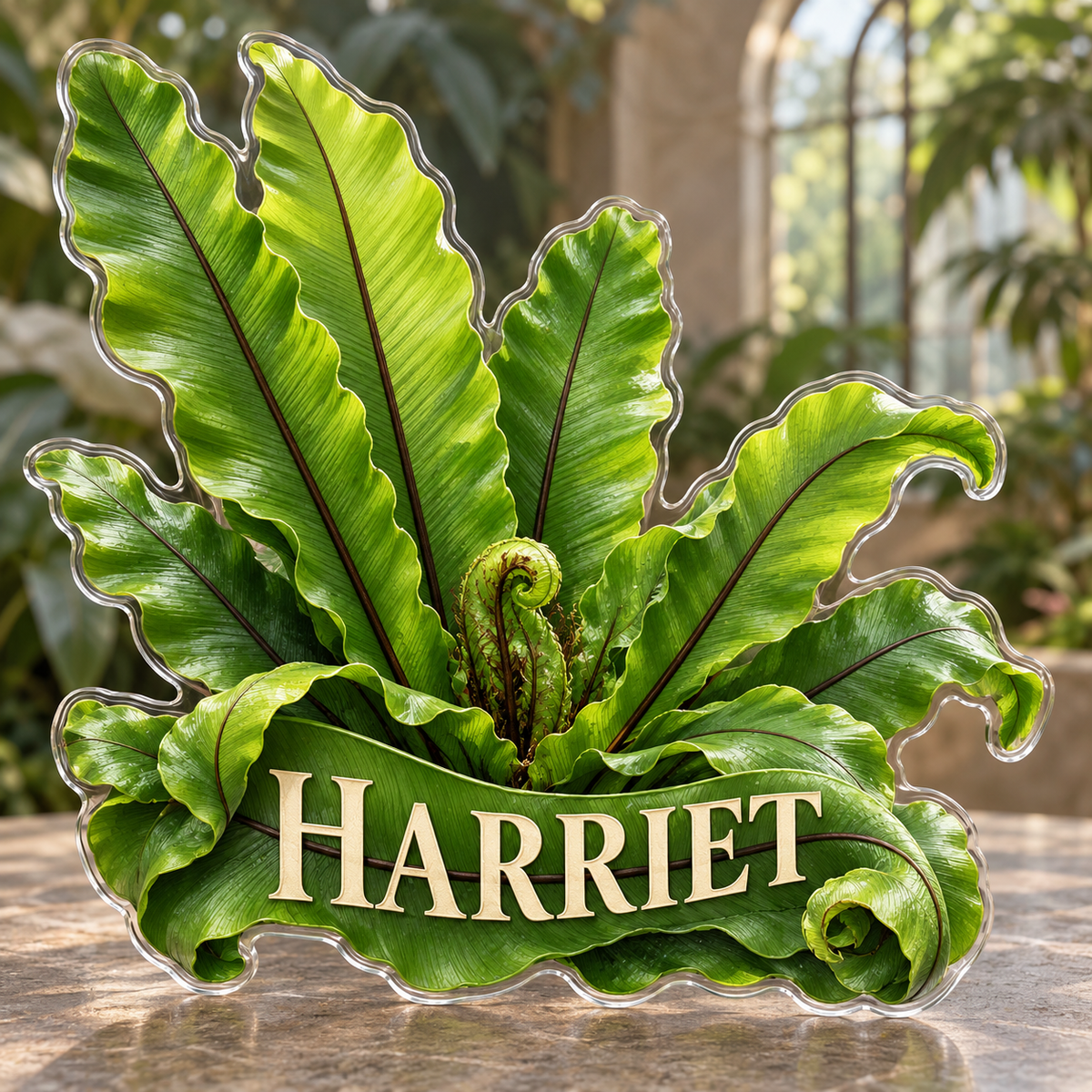 Front view of personalized asplenium bird's nest fern acrylic plaque with sample name HARRIET, displayed in a softly blurred tropical conservatory