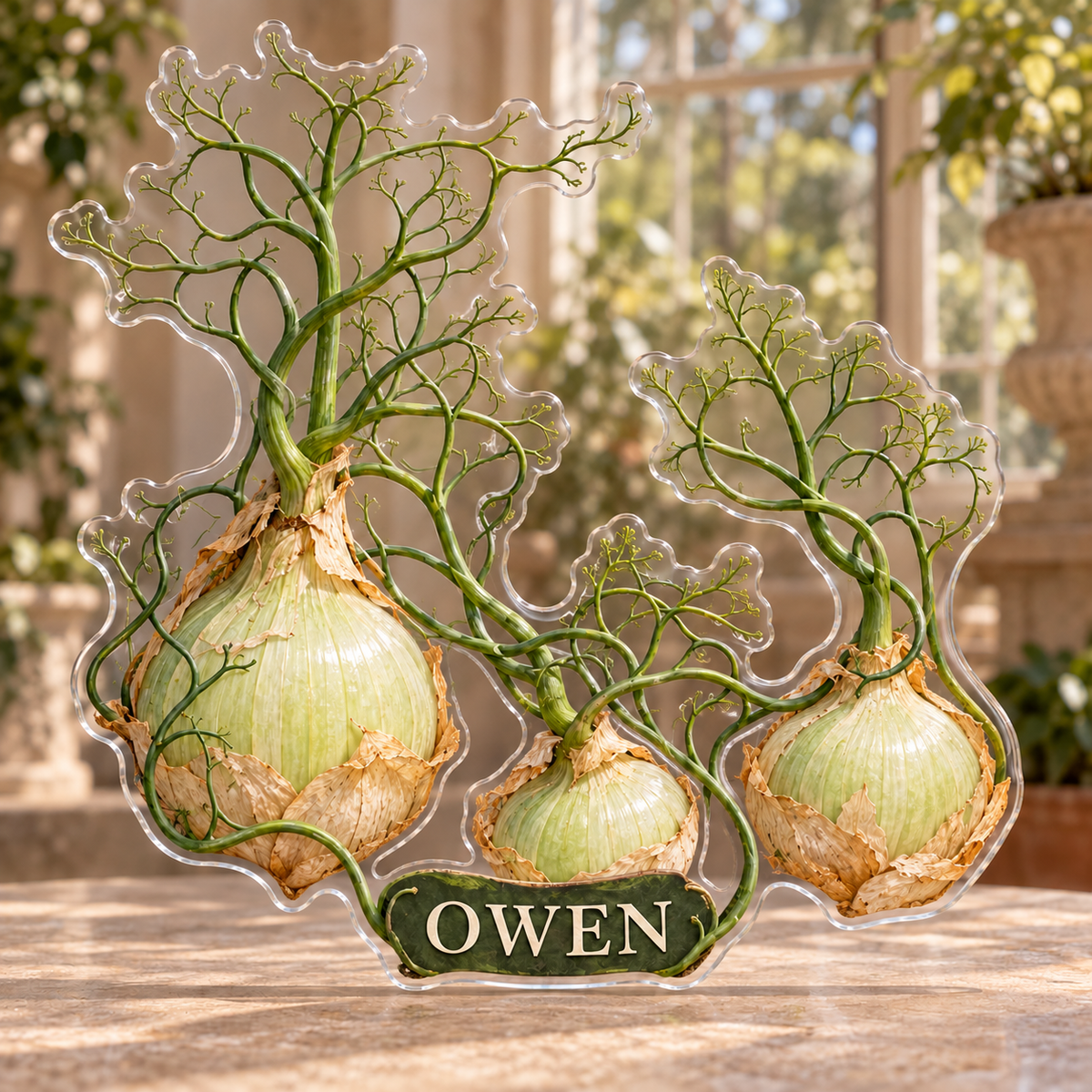 Front view of personalized bowiea climbing onion garden acrylic plaque with sample name OWEN, displayed in a softly blurred sunlit bulb conservatory