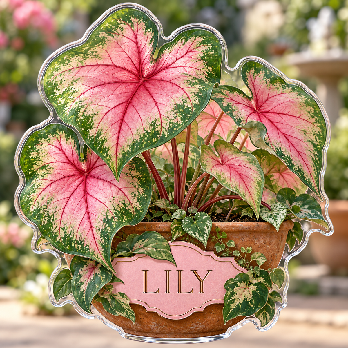 Front view of personalized caladium heart garden acrylic plaque with sample name LILY, displayed in a softly blurred sunlit caladium heart garden