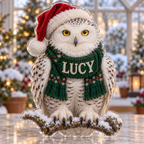 Front view of personalized Christmas Snowy Owl acrylic plaque with sample name LUCY