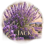 Artwork visualization: Lavender sprigs — living room focal point, personalized JACK, subject-shaped acrylic with printed optical 3D depth; not carved relief.