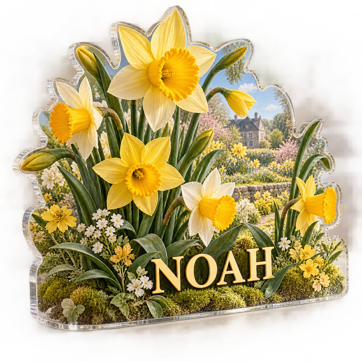 Artwork visualization: Daffodil and jonquil — bedroom statement decor, personalized NOAH, subject-shaped acrylic with printed optical 3D depth; not carved relief.