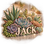 Artwork visualization: Succulent garden — bedroom statement decor, personalized JACK, subject-shaped acrylic with printed optical 3D depth; not carved relief.