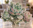 Artwork visualization: Succulent garden — personalized housewarming, personalized ALEX, subject-shaped acrylic with printed optical 3D depth; not carved relief.