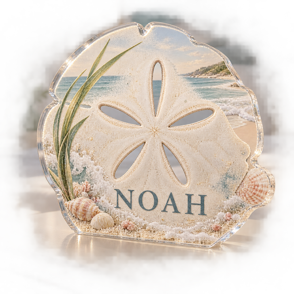 Artwork visualization: Sand dollar pattern — bedroom statement decor, personalized NOAH, subject-shaped acrylic with printed optical 3D depth; not carved relief.