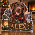 Artwork visualization: Labrador retriever — holiday family inclusion, personalized ALEX, subject-shaped acrylic with printed optical 3D depth; not carved relief.