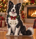 Artwork visualization: Border collie — holiday family inclusion, personalized ALEX, subject-shaped acrylic with printed optical 3D depth; not carved relief.