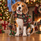 Artwork visualization: Beagle — holiday family inclusion, personalized ISLA, subject-shaped acrylic with printed optical 3D depth; not carved relief.