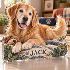 Artwork visualization: Senior dog companion — pet room decoration, personalized JACK, subject-shaped acrylic with printed optical 3D depth; not carved relief.
