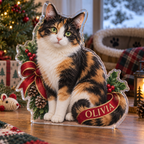 Artwork visualization: Calico cat — new pet parent gift, personalized OLIVIA, subject-shaped acrylic with printed optical 3D depth; not carved relief.