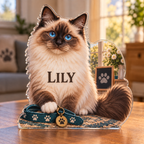 Artwork visualization: Ragdoll cat — pet sitter appreciation, personalized LILY, subject-shaped acrylic with printed optical 3D depth; not carved relief.