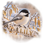 Artwork visualization: Chickadee birch — bedroom statement decor, personalized LILY, subject-shaped acrylic with printed optical 3D depth; not carved relief.