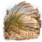 Artwork visualization: Coastal dune grass — living room focal point, personalized LILY, subject-shaped acrylic with printed optical 3D depth; not carved relief.