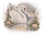 Artwork visualization: Swan and reeds — playroom story corner, personalized JACK, subject-shaped acrylic with printed optical 3D depth; not carved relief.