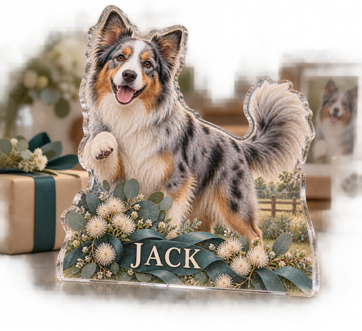 Artwork visualization: Australian shepherd — adoption anniversary gift, personalized JACK, subject-shaped acrylic with printed optical 3D depth; not carved relief.