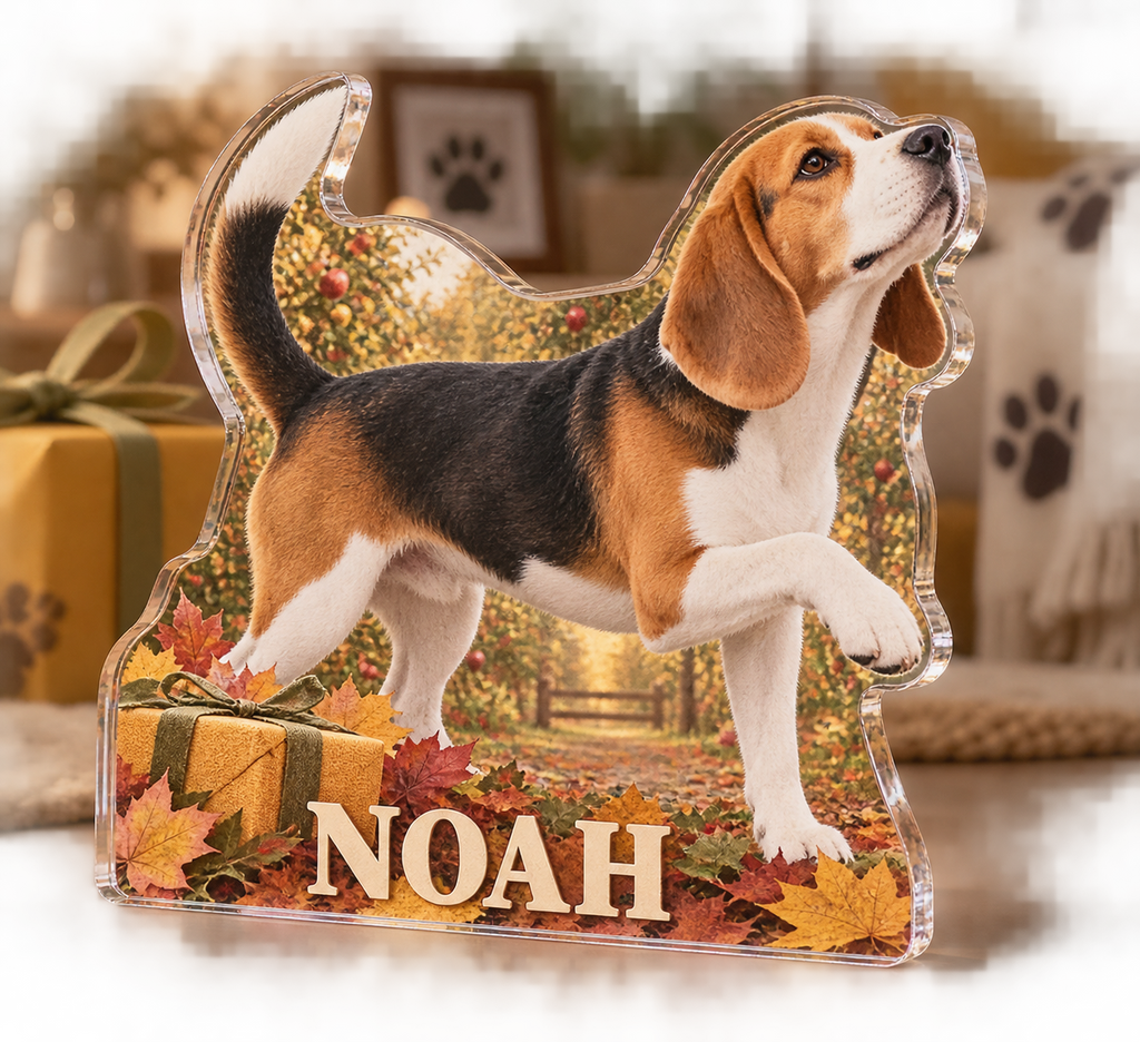 Artwork visualization: Beagle — adoption anniversary gift, personalized NOAH, subject-shaped acrylic with printed optical 3D depth; not carved relief.