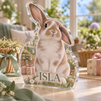 Artwork visualization: House rabbit — adoption anniversary gift, personalized ISLA, subject-shaped acrylic with printed optical 3D depth; not carved relief.