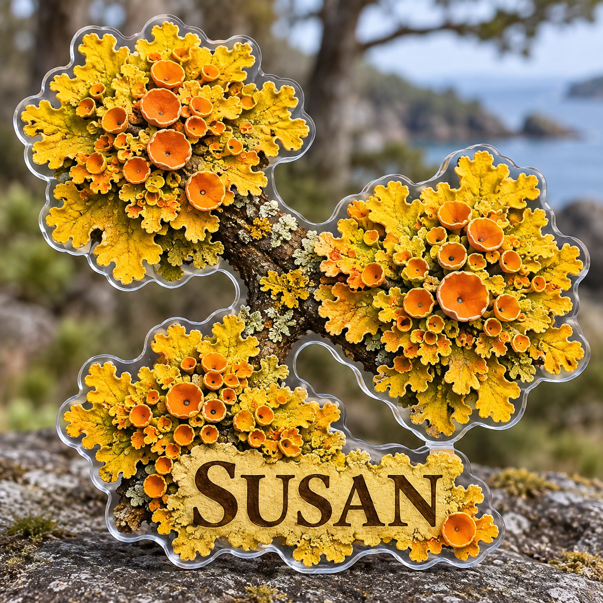 Front view of personalized xanthoria sunburst lichen acrylic plaque with sample name SUSAN, displayed in a softly blurred warm coastal woodland