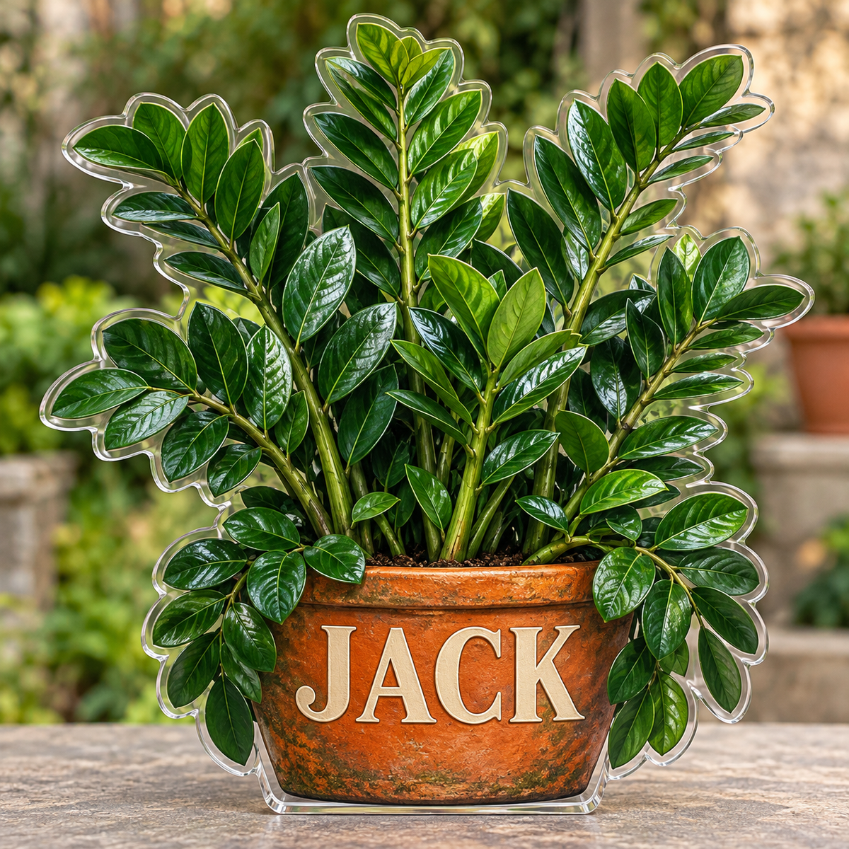 Front view of personalized zamioculcas emerald garden acrylic plaque with sample name JACK, displayed in a softly blurred warm modern indoor plant garden